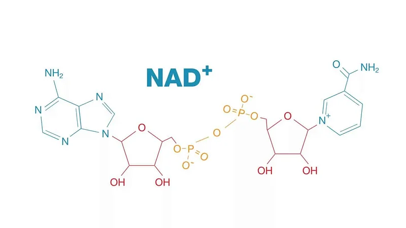 5 reasons NAD is worth the hype (and why NAD patches are the best way to boost it):