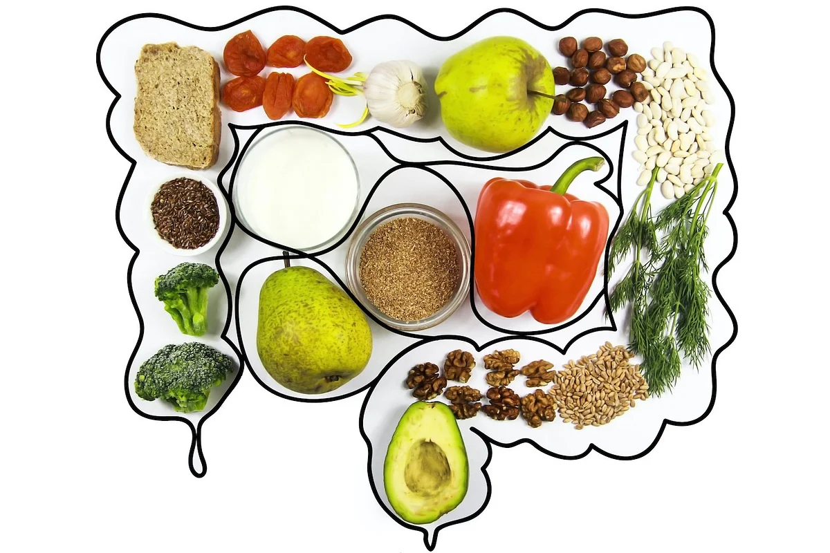 Top supplements for SIBO: What really helps?